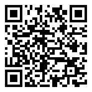 qr Code Url